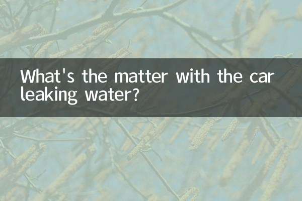 গাড়িতে পানি পড়ে কি ব্যাপার?