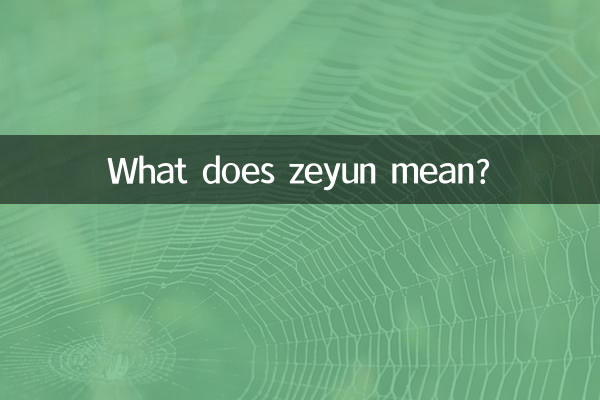 زیون یعنی چی؟