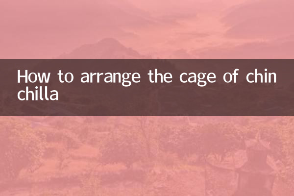 龙猫的笼子怎么布置