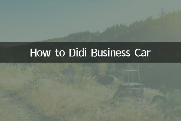 Cómo Didi Business Car
