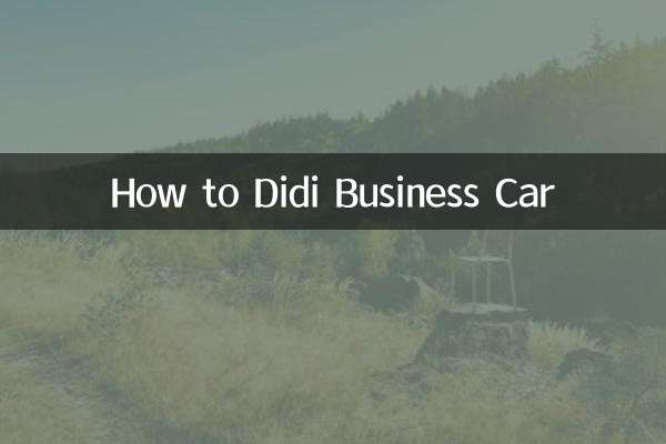 Cómo Didi Business Car