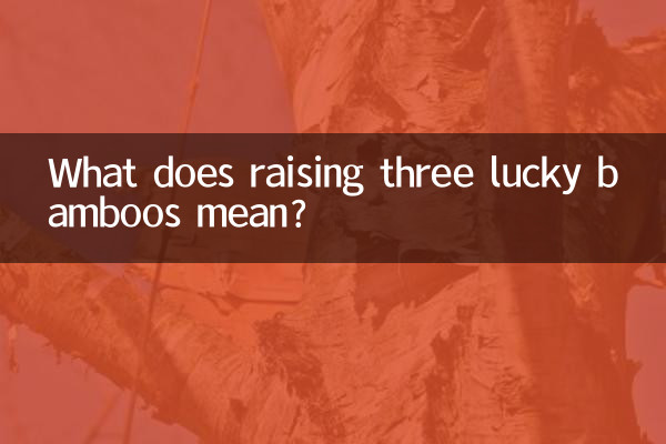 Что означает вырастить три счастливых бамбука?