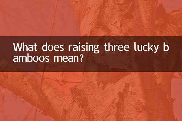 O que significa criar três bambus da sorte?