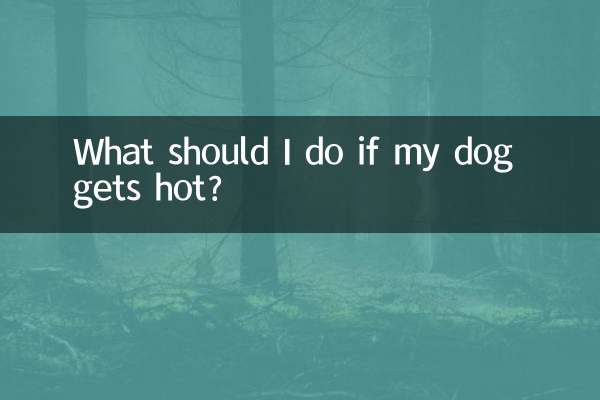 O que devo fazer se meu cachorro ficar com calor?