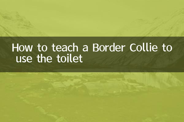 How to teach a Border Collie to use the toilet