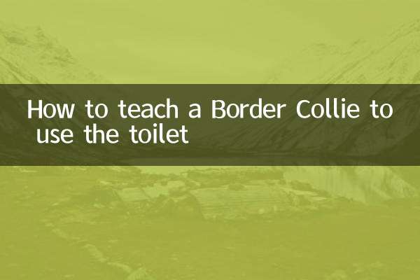 How to teach a Border Collie to use the toilet