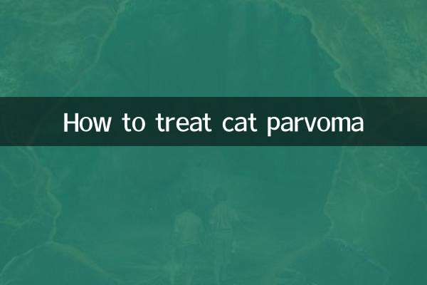 猫肉腫の治療方法