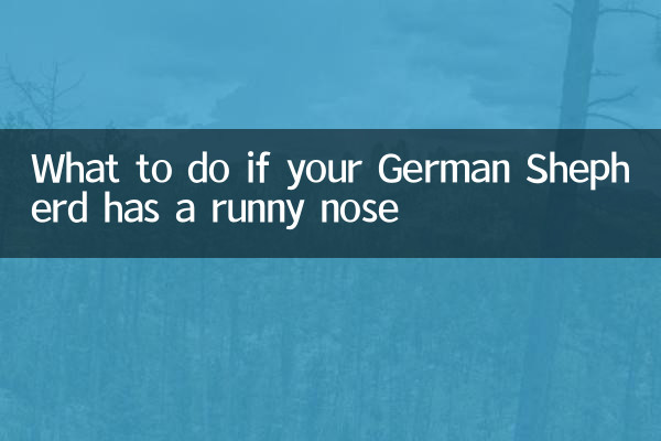 Was tun, wenn Ihr Deutscher Schäferhund eine laufende Nase hat?