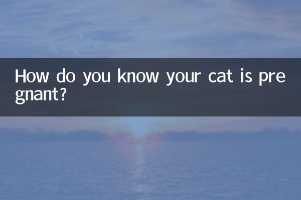 Come fai a sapere che la tua gatta è incinta?