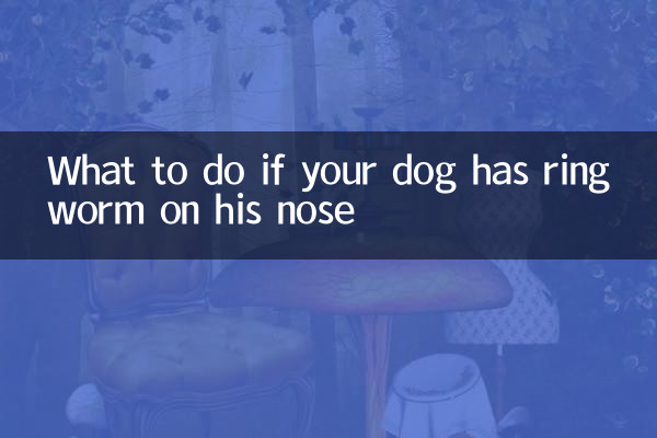 اگر آپ کے کتے کی ناک پر رنگ کیڑا ہے تو کیا کریں