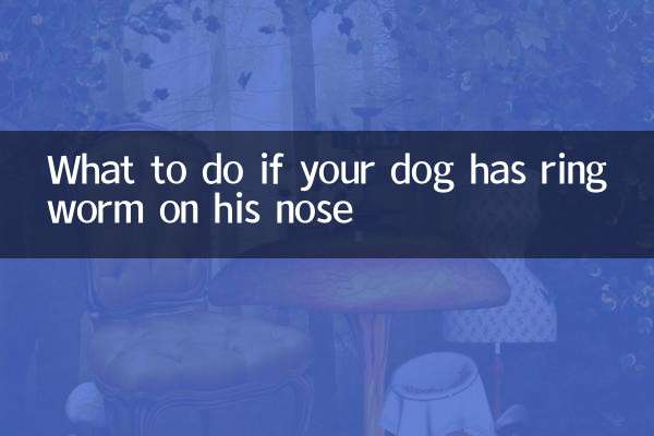 اگر آپ کے کتے کی ناک پر رنگ کیڑا ہے تو کیا کریں