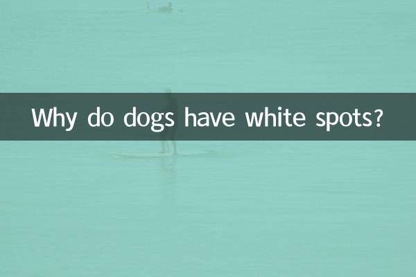 لماذا الكلاب لديها بقع بيضاء؟