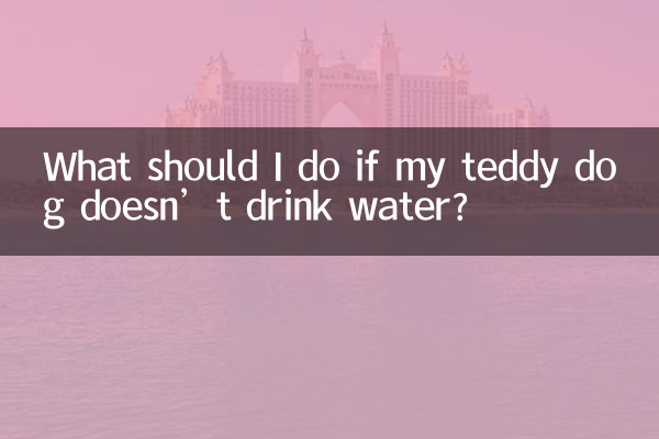 Que dois-je faire si mon chien en peluche ne boit pas d’eau ?