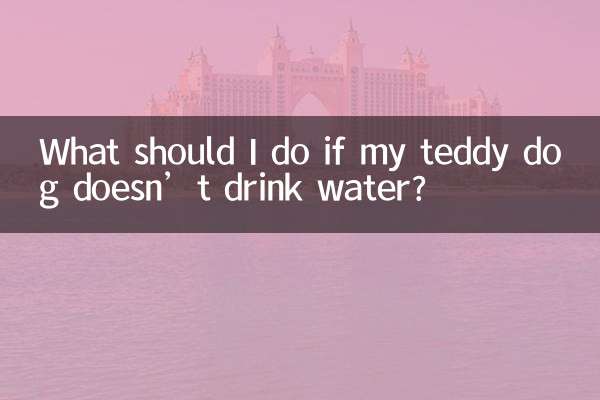 泰迪狗不喝水怎么办