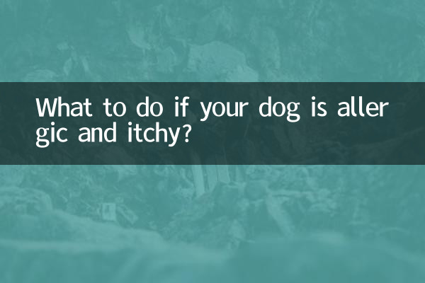 ¿Qué hacer si tu perro es alérgico y le pica?