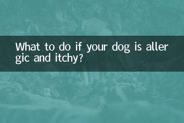 Was tun, wenn Ihr Hund allergisch ist und juckt?