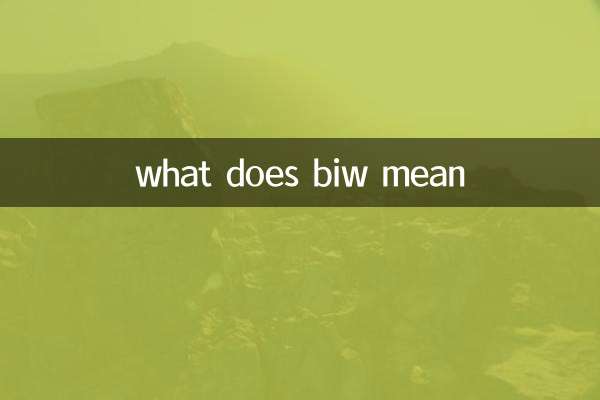 cosa significa biw?