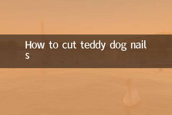 টেডি কুকুরের নখ কীভাবে কাটবেন