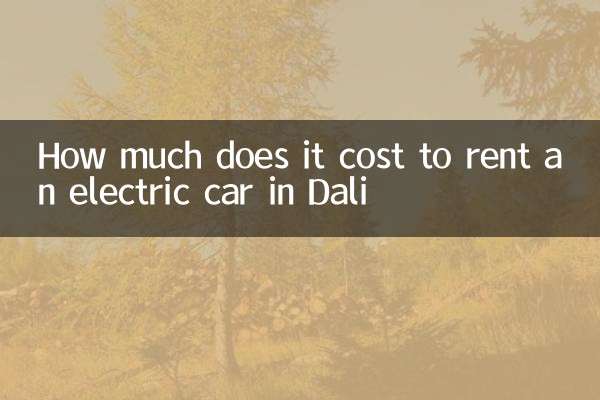 大理租电动车多少钱