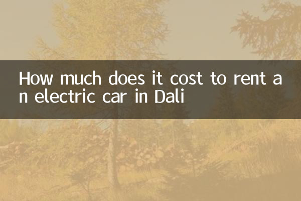 大理租电动车多少钱