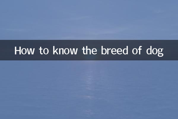How to know the breed of dog