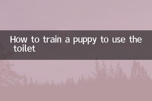 چگونه توله سگ را برای استفاده از توالت آموزش دهیم