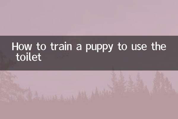 چگونه توله سگ را برای استفاده از توالت آموزش دهیم