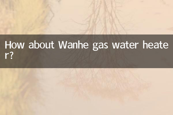 آبگرمکن گازی Wanhe چطور؟