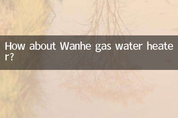 آبگرمکن گازی Wanhe چطور؟