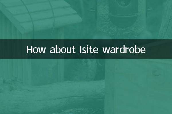 How about Isite wardrobe