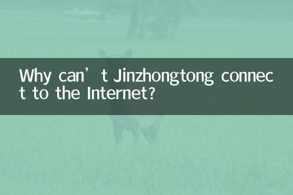 Perché Jinzhongtong non riesce a connettersi a Internet?