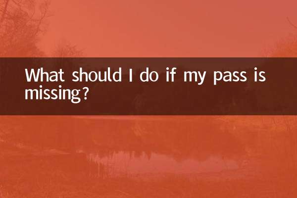 What should I do if my pass is missing?