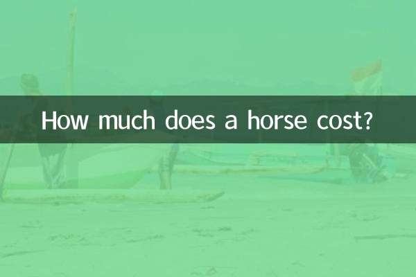 How much does a horse cost?