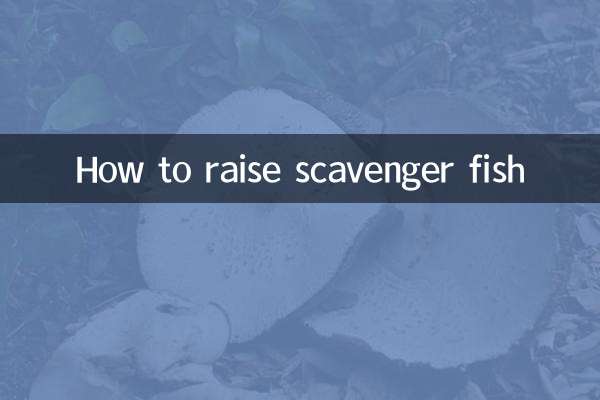 نحوه پرورش ماهی Scavenger