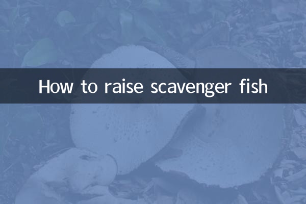 نحوه پرورش ماهی Scavenger