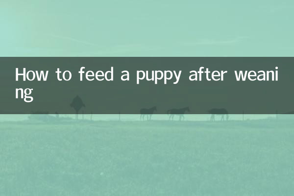 How to feed a puppy after weaning