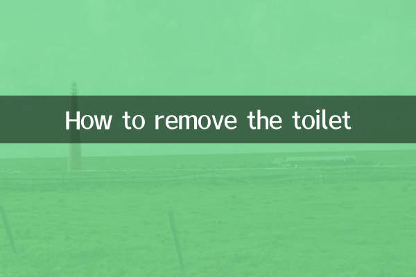 So entfernen Sie die Toilette