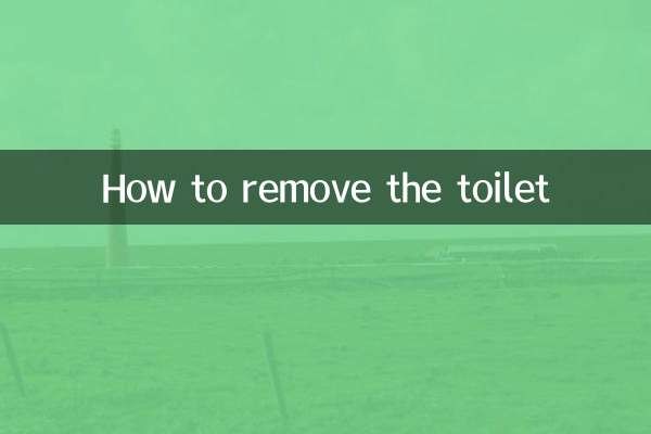 So entfernen Sie die Toilette