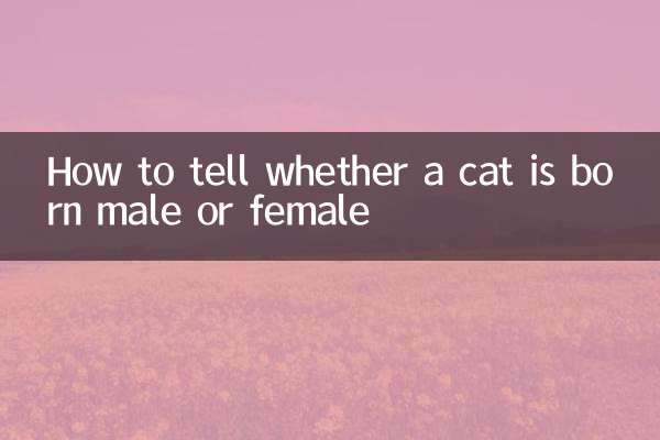 कैसे बताएं कि बिल्ली नर या मादा पैदा हुई है