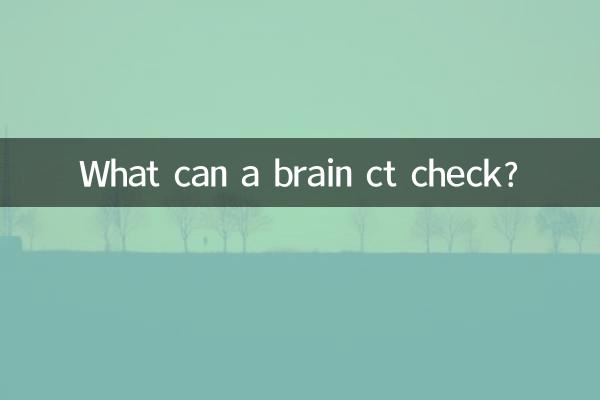 뇌 CT로 무엇을 확인할 수 있나요?