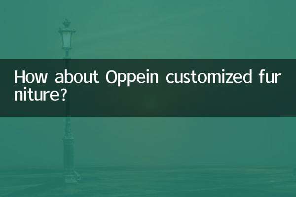Que diriez-vous des meubles sur mesure Oppein ?