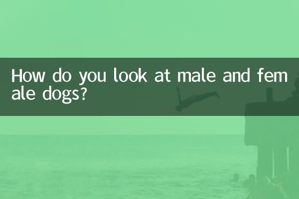 Come consideri i cani maschi e femmine?