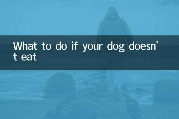 개가 밥을 먹지 않는다면 어떻게 해야 할까요?