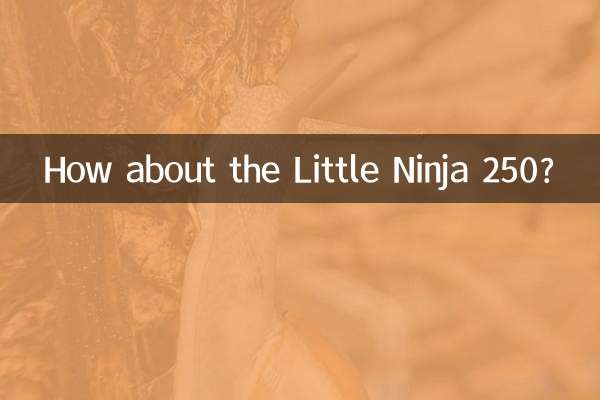 リトルニンジャ250はどうでしょうか？