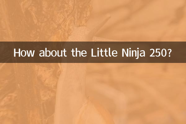 Que tal o Pequeno Ninja 250?