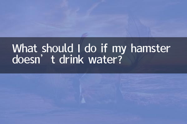 O que devo fazer se meu hamster não beber água?