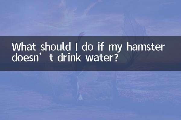 O que devo fazer se meu hamster não beber água?