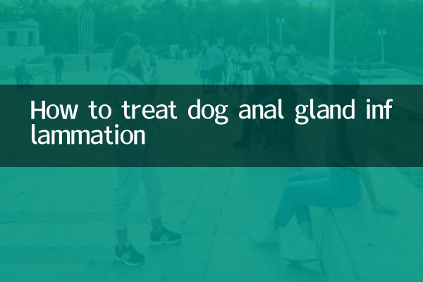 Wie behandelt man eine Analdrüsenentzündung beim Hund?