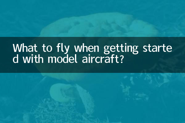 মডেল বিমান দিয়ে শুরু করার সময় কি উড়তে হবে?