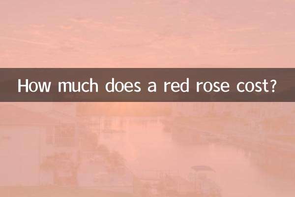 How much does a red rose cost?